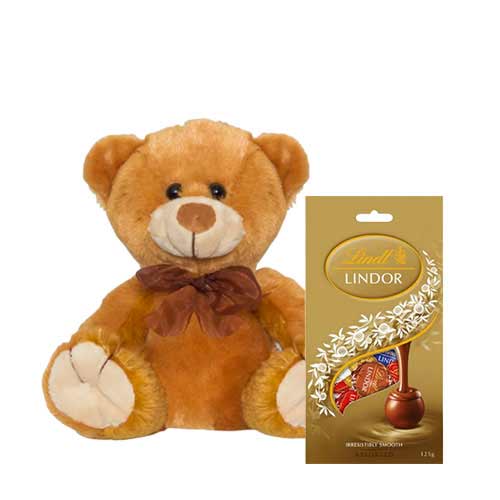 8 inch Brown Teddy with Chocolate bag