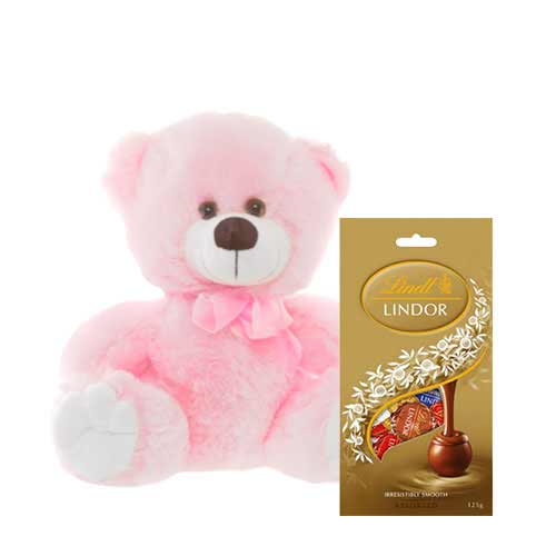 8 inch Pink Teddy with Chocolate bag