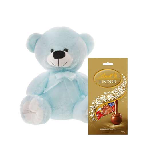 10 inch Blue Teddy with Chocolate bag