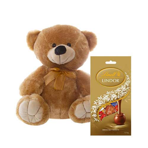 10 inch Brown Teddy with Chocolate bag