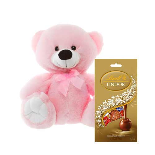 10 inch Pink Teddy with Chocolate bag