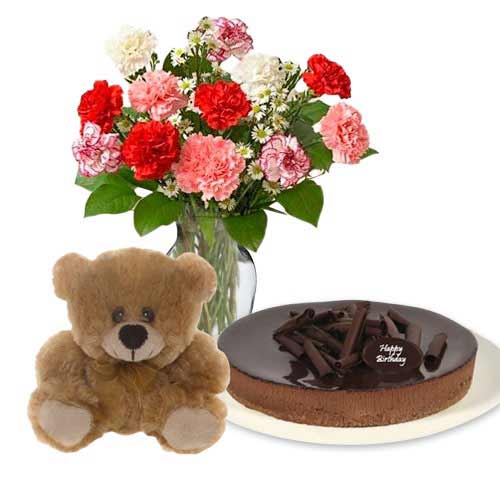 Carnations with chocolate cheesecake & 6 inch Teddy