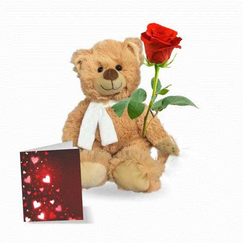 Special Teddy with Rose & Card