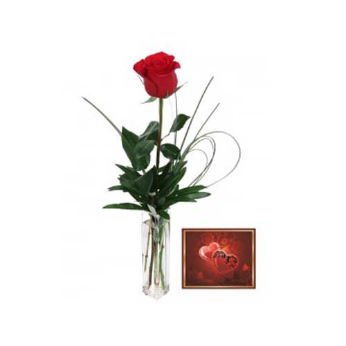 Red Rose and Card