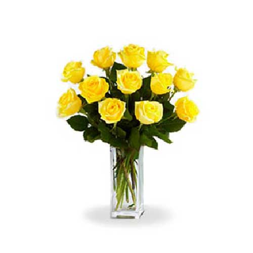  Yellow roses