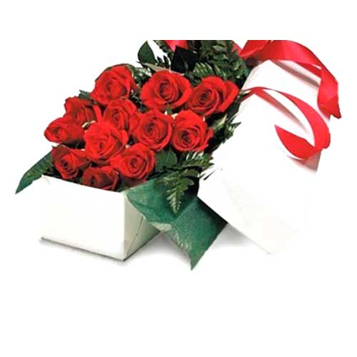 Red roses in Box