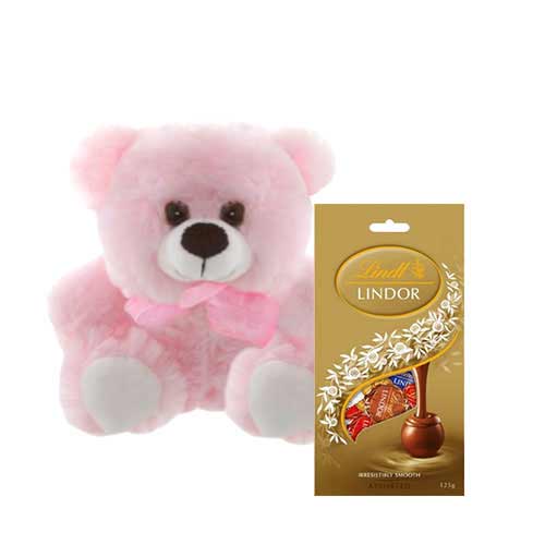 Pink Teddy with Chocolate Bag